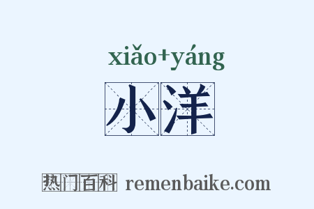 小洋是什么意思的图片